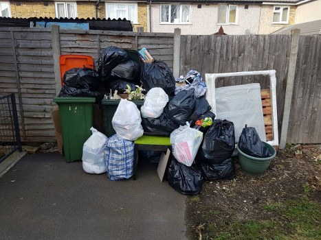 Garden waste removal process in Eltham