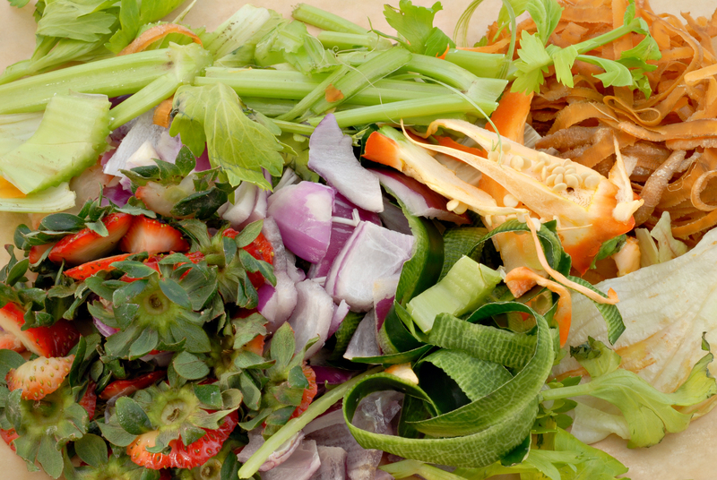 Rescue Your Rubbish and Craft Beautiful Upcycled Projects